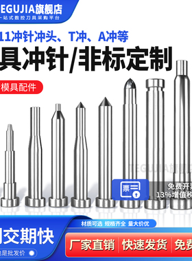 非标定制冲头模具冲针SKD11模具A引导冲衬套两用销抽牙冲配件T冲