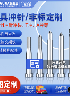 非标定制冲头模具冲针SKD11模具A引导冲衬套两用销抽牙冲配件T冲