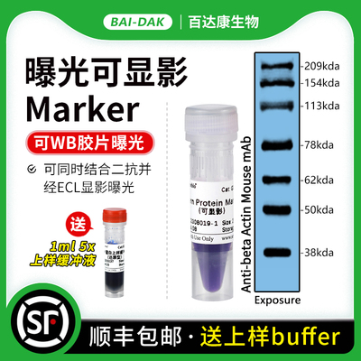 WB曝光可显影预染蛋白Marker 可同时结合二抗ECL显影 胶片曝光