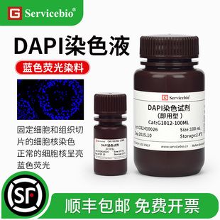 赛维尔 DAPI染色试剂（即用型）细胞核染色液呈亮蓝色荧光 IF可用