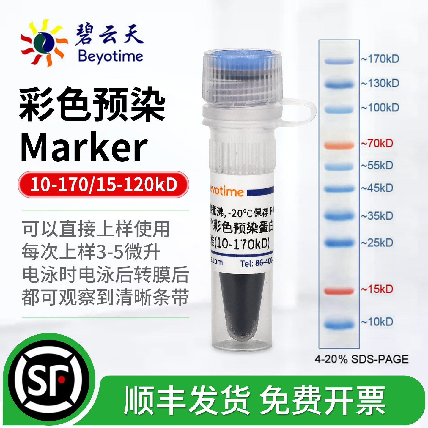 碧云天彩色预染分子量标准