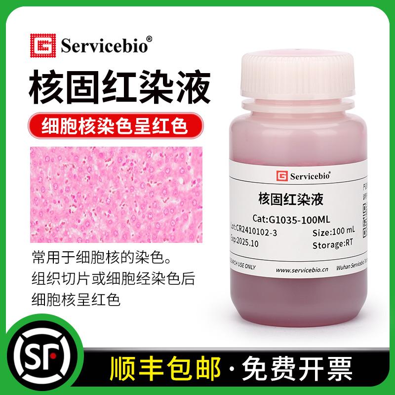 赛维尔核固红染液细胞核呈红色