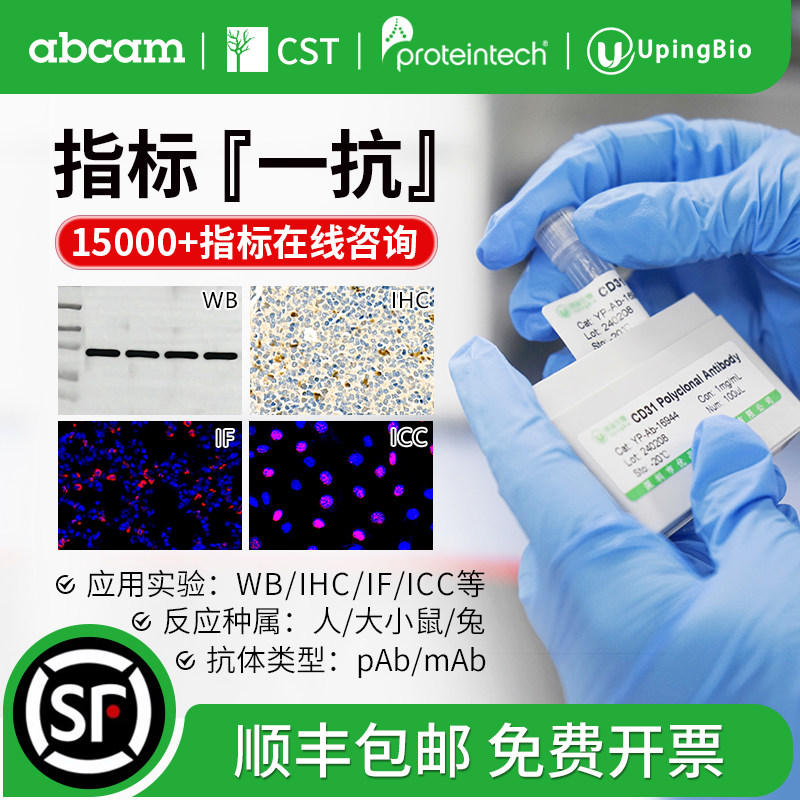 优品 三鹰 CST abcam一抗指标抗体10ul小包装WB单抗多抗 antibody