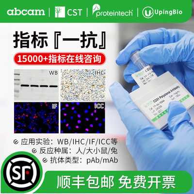 三鹰CSTabcam一抗指标抗体