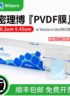 密理博Millipore 0.2um/0.45um PVDF膜 Western blot免疫印迹膜 Dot blot斑点杂交膜 ISEQ00010 IPVH00010