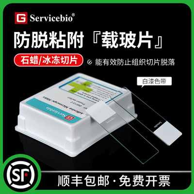 赛维尔Servicebio 粘附载玻片 防脱 石蜡/冰冻切片 白漆色带 防止切片脱落 G6012-1 G6012-2