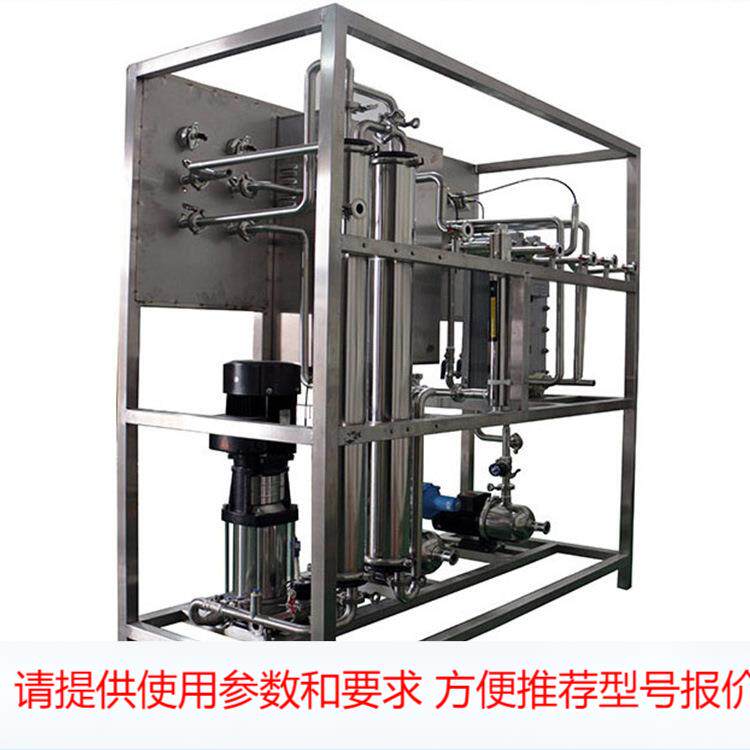 EDI小型去离子水处理设备 0.5吨t不锈钢RO反渗透高超纯水制取大促