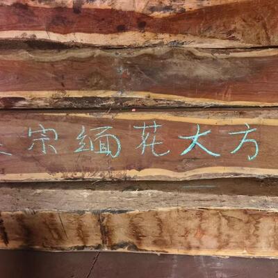 缅甸花梨木原木大方板材瓦城料花梨木无心材