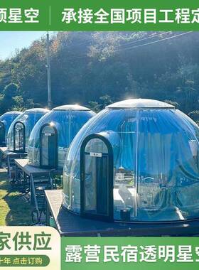 YD-240星空房PC户外露营民宿透明帐篷玻璃酒吧别墅酒店泡泡房
