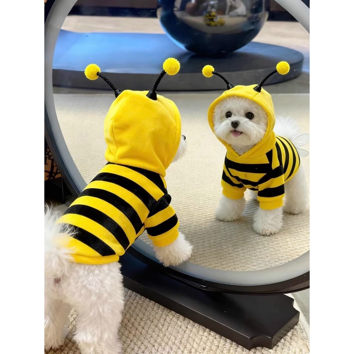狗狗衣服可爱小蜜蜂卫衣秋冬比熊博美西高地小猫咪衣服保暖防掉毛