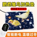 鹦鹉加热垫雏鸟保温箱鸟用过冬神器鸟笼冬季 保暖电热毯恒温取暖器