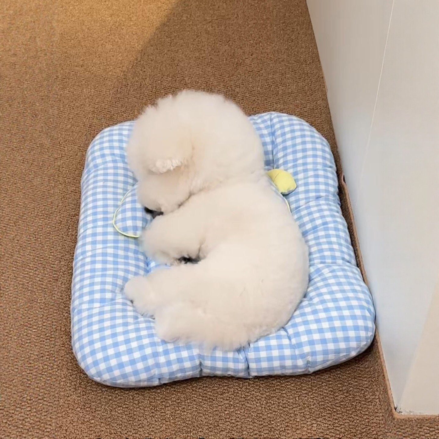 狗窝垫子秋冬保暖睡觉用垫小型犬宠物沙发猫咪踩奶垫四季通用新款