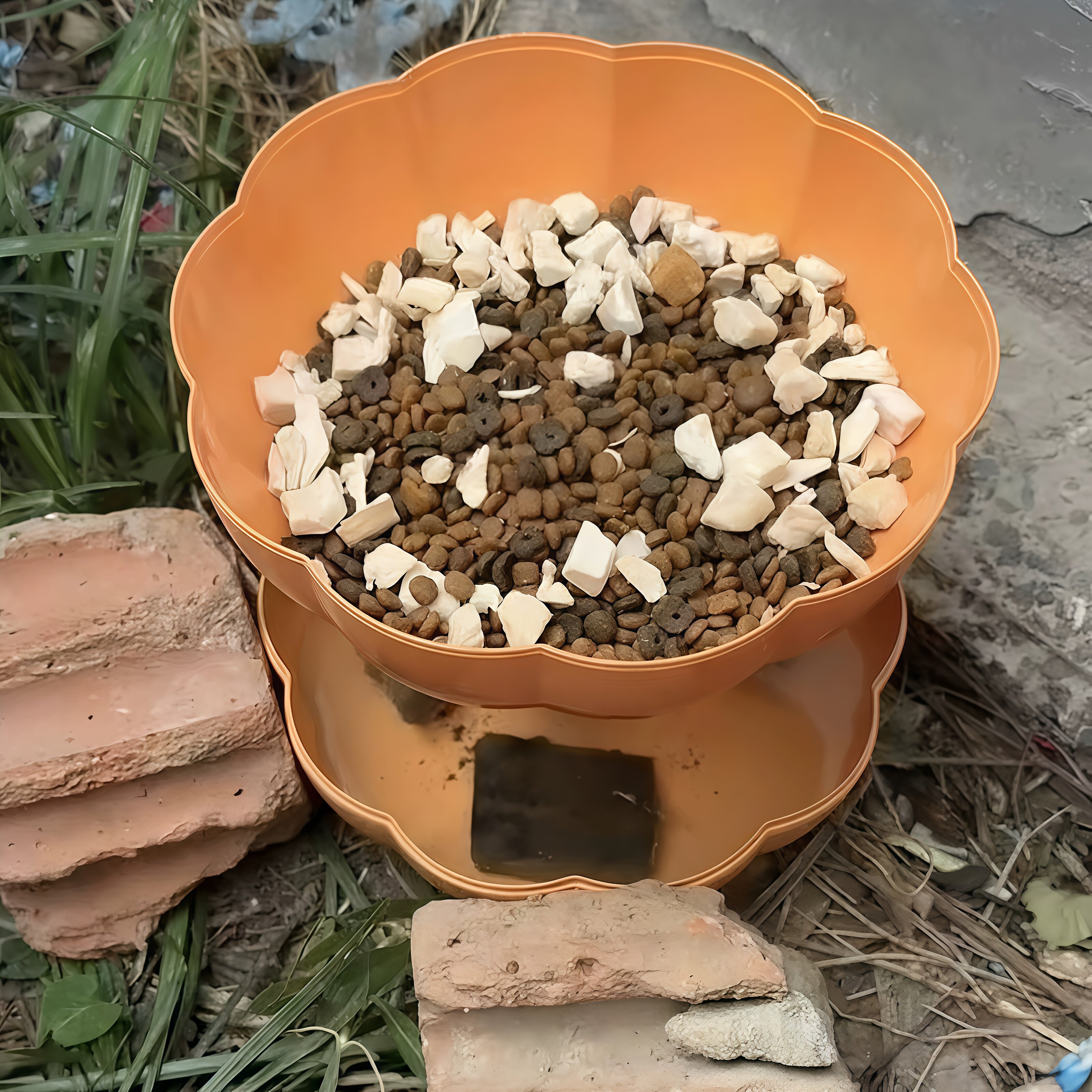 南瓜碗喂流浪猫好物防蚂蚁防蚊虫创意个性猫狗通用可爱双层南瓜盘