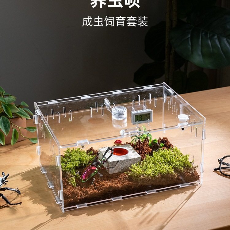 甲虫饲养盒透明亚克力爬虫饲养箱蜗牛小型昆虫独角仙幼虫套装盒子