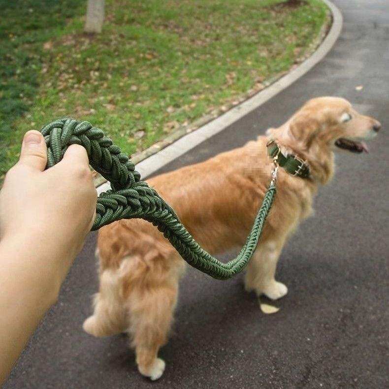 加粗遛狗牵引绳耐用大型犬防脱全套拴狗链子狗狗粗装小狗自动扣