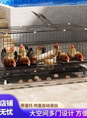 鸡笼子家用大号折叠阳台农村笼鸡窝鸭子鹅笼户外养殖笼养鸡棚全套