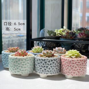 多肉花盆韩式流釉冰裂陶瓷小肉肉植物生石花控型清新肉植盆