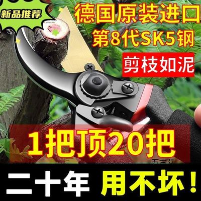 德国进口修枝剪刀树枝修剪园林花枝剪子园艺粗枝剪刀剪枝木工