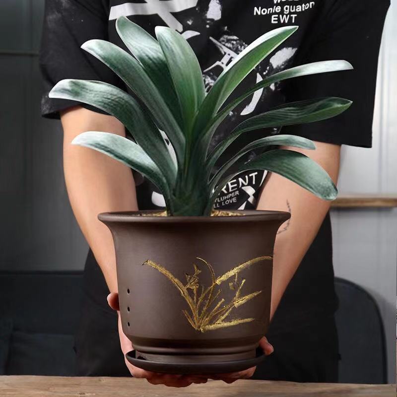 君子兰花盆宜兴紫砂盆简约带托盘桌地面绿植大小号 陶瓷花卉花盆