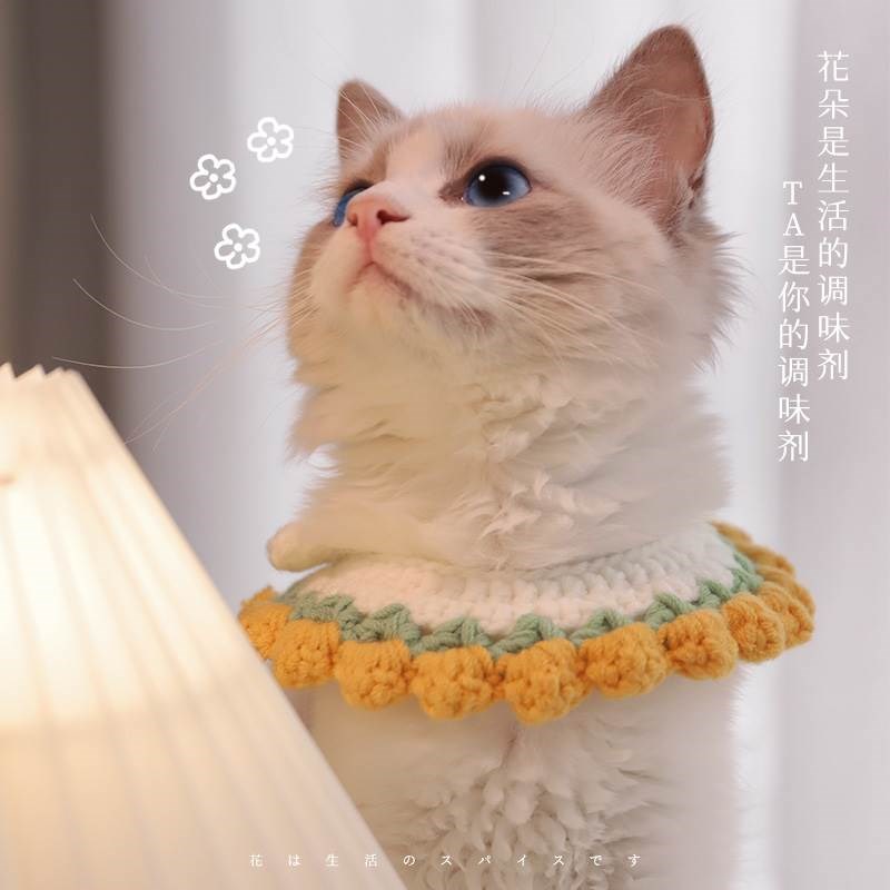 猫咪项圈宠物项链狗狗幼猫针织脖圈猫围脖可爱饰品装X饰猫脖子用