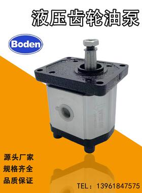 Boden博顿BHP2B0D25T0F1/D10/D14/D12/D18/D20/D28/D30T0F1油泵