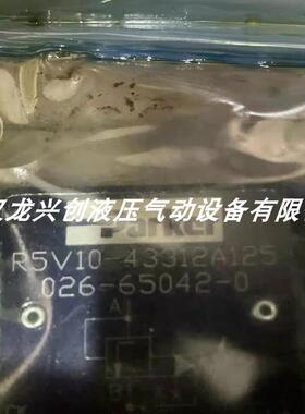 派克溢流阀R5V10-433-12-A1调压阀R5V10-495-12-09GAG-A1-234