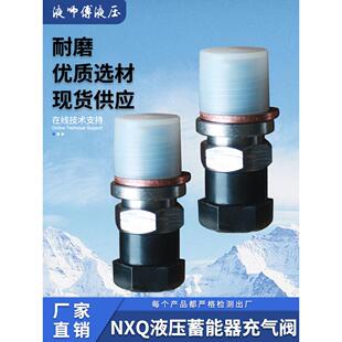 液压剪板机充气工具氮气阀 单向阀充气嘴 NXQ蓄能器充气阀QXF