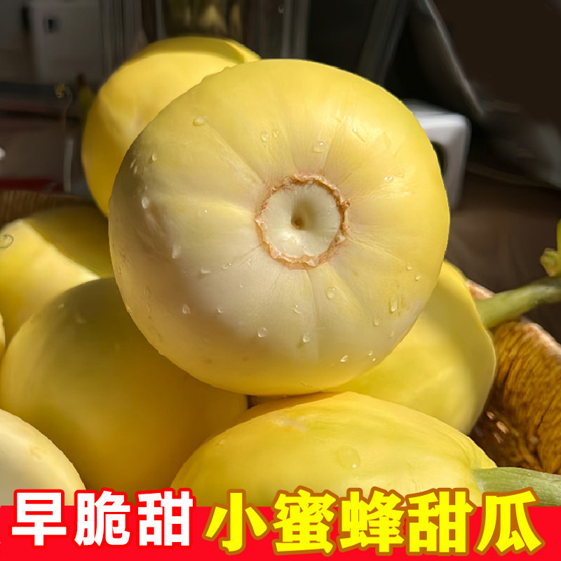 山东早脆甜瓜星甜小蜜蜂脆瓜蜜罐新鲜脆瓜水果小香瓜整箱包邮甜宝