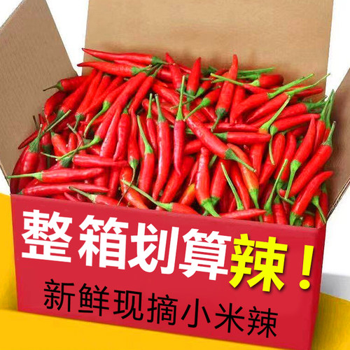 小米椒新鲜小米椒特辣红辣椒朝天椒指天椒农家自种小尖椒