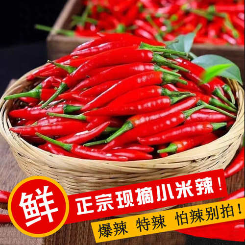 新鲜红辣椒 小米椒泰椒特辣朝天椒5小米辣 自种辣椒现摘包邮