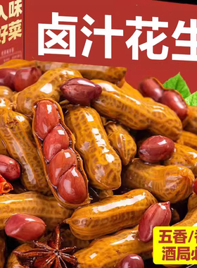 五香味500g袋新鲜带壳卤味花生五香水煮真空小袋卤汁零食卤煮
