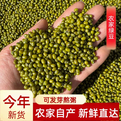 净重无干燥剂绿豆易煮出沙解暑绿