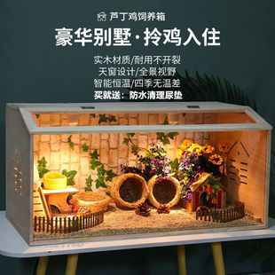 芦丁鸡饲养箱造景观赏笼子养殖专用实木箱小鸡窝宠物育雏室保温箱