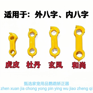 甄选鹦鹉矫正器矫正八字脚鸟类牡丹虎皮玄凤八脚恢复脚环一字用品