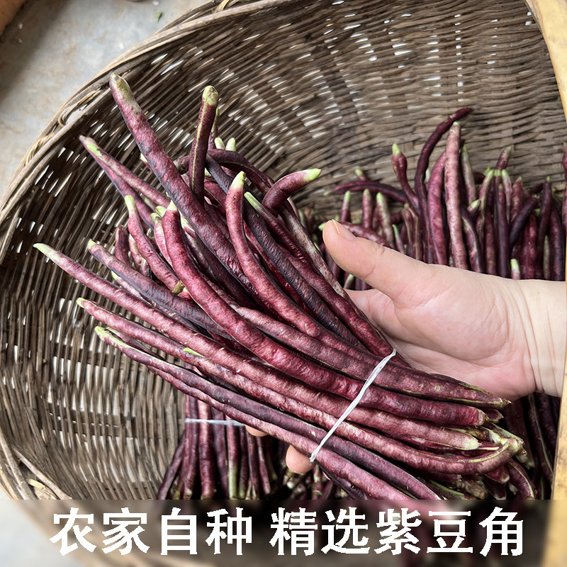 特产新鲜蔬菜农家自种湖北