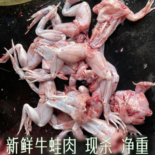 下单现杀牛蛙肉精选大只鲜活田鸡蛤蟆现杀牛蛙田鸡蛙肉腿火锅食材