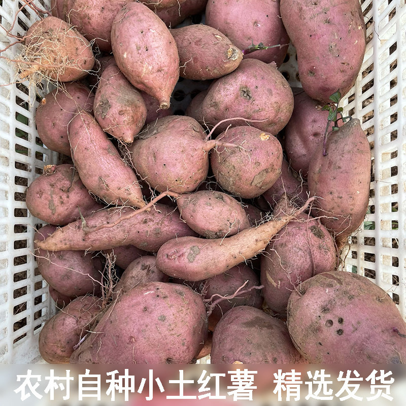 农家自种红薯湖北恩施高山新鲜香甜红薯土番薯土地瓜精选当季红薯