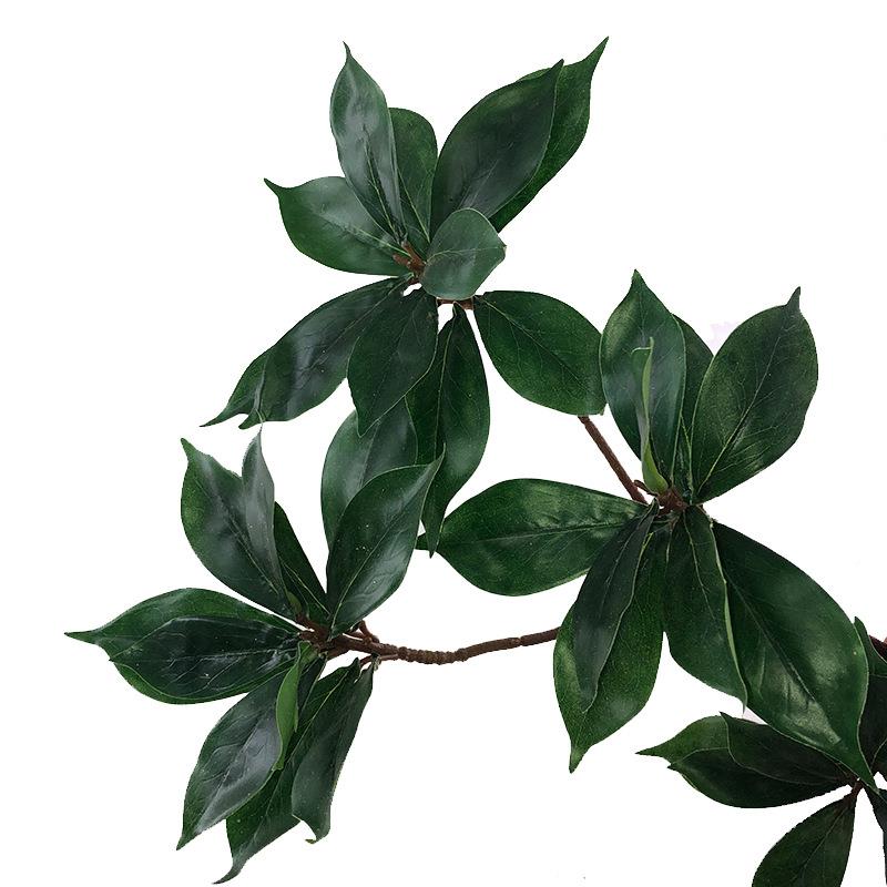仿绿植厚皮香叶红油叶茶杨树枇花杷叶瑞香树茶园林247装真饰摆设