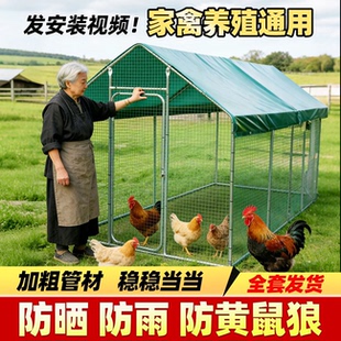 室外养鸡棚农家乐多功能家养款镀锌钢管挡风鸡窝遮雨耐用鸡笼鸡舍