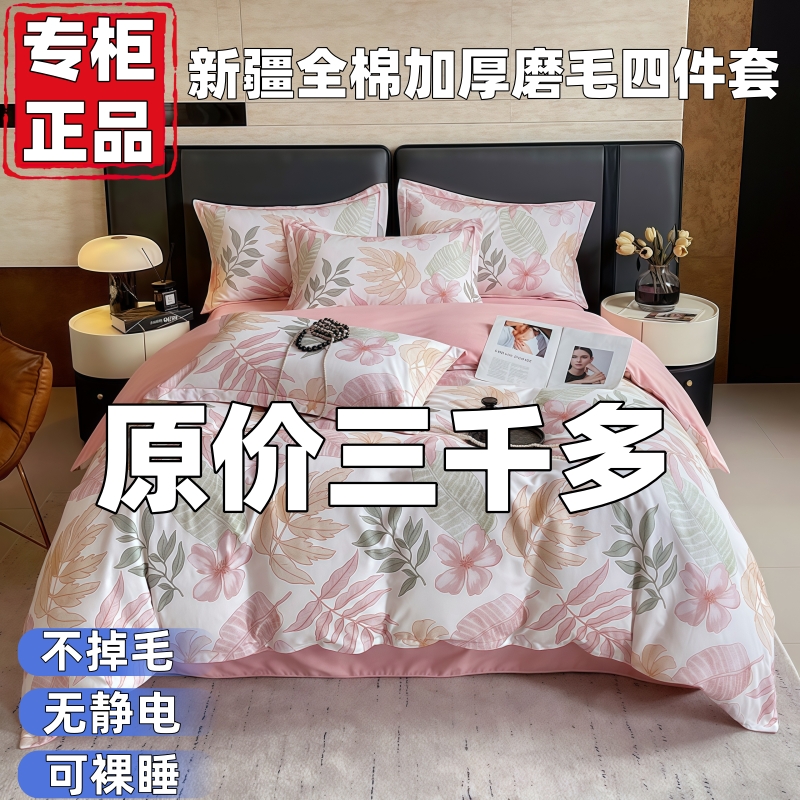 纯棉全棉2025新款四件套加厚磨毛