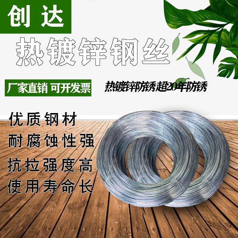 大棚热镀锌钢丝农业防锈果园猕猴桃钢丝拉线单根葡萄架线镀锌钢丝,鲜花速递/花卉仿真/绿植园艺,洒水/浇水壶,淘宝优惠券,粉丝福利购,淘宝优惠卷