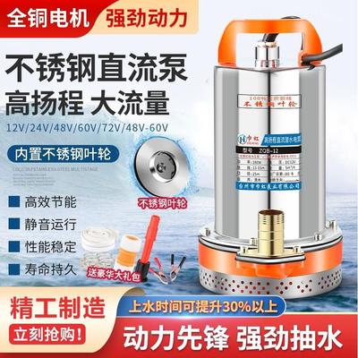 德国进口12V24V48V60V72直流潜水泵家用农用电动车电瓶高扬程大流