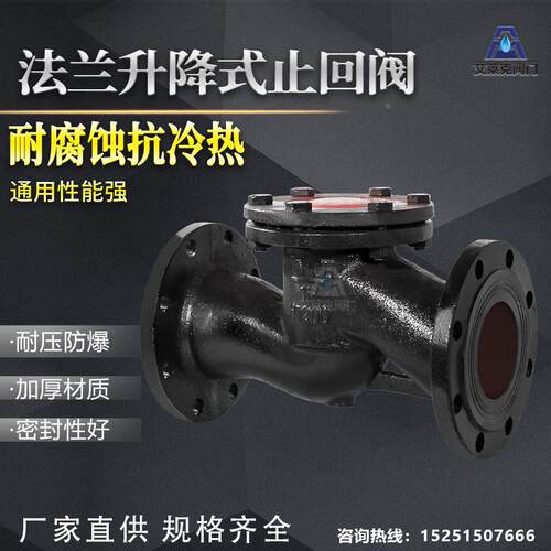 H41T-16升降式止回阀 铸铁铜芯法兰止回阀DN40 50 80 100 150 200