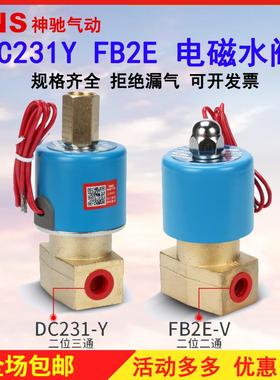 SNS神驰FB2E-V DC231-Y电磁阀水阀  气阀 全铜电阀正品