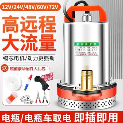 德国进口直流潜水泵浇菜12V24V48V60V种田农用船用直流泵电瓶电动