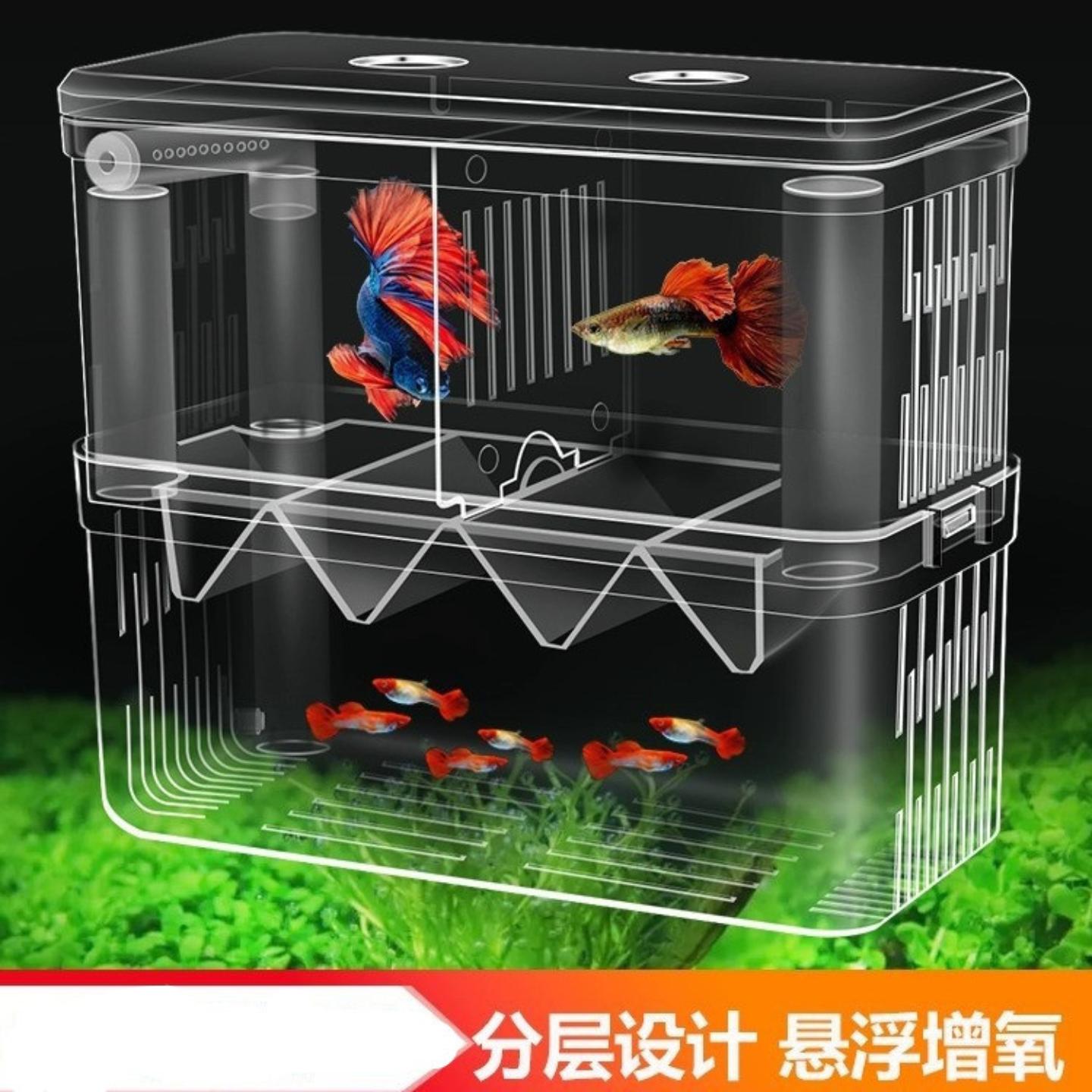 鱼缸分养盒隔离孵化孔雀凤尾繁殖