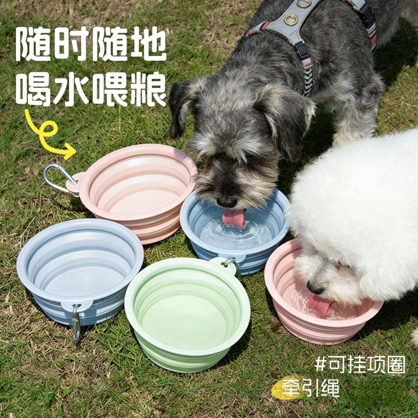 小狗折叠碗马卡龙色硅胶宠物旅行