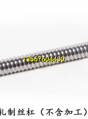 微型滚珠丝杠螺母BSWE0802 BWSE1002 小导程微小型丝杆Y螺帽 C7级