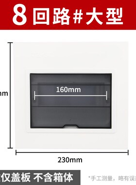 PZ30配电箱盖板通用开关箱白色面板家用10/12/15/18位强电箱盖子