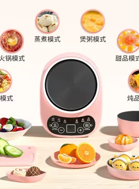 儿童超小迷你电磁炉小厨房真煮可